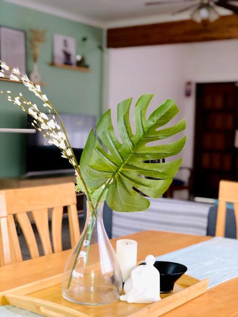 Danville Forest Guest House & Apartments Ντούρμπαν Εξωτερικό φωτογραφία