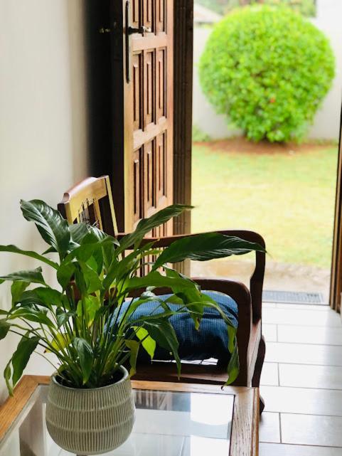 Danville Forest Guest House & Apartments Ντούρμπαν Εξωτερικό φωτογραφία